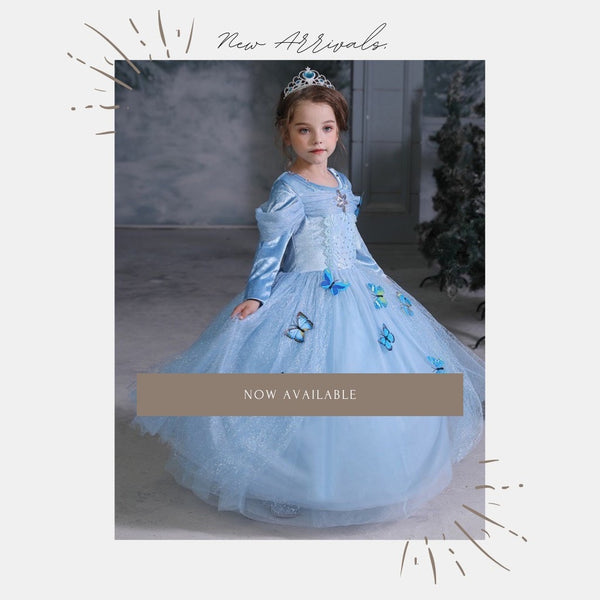 Parishkids Cinderella Butterfly Dress/ Dress Anak Kostum Ulang Tahun